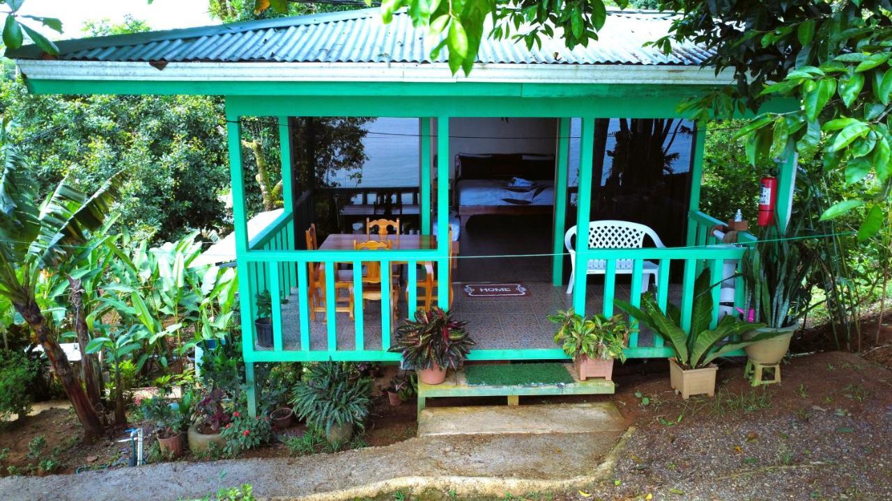 Cabana Ara Macao Lodge Drakes Bay Exteriör bild